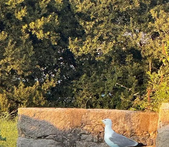 #5 Ramalde Charming House Porto